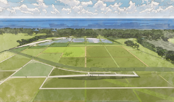 水辺の広場の写真