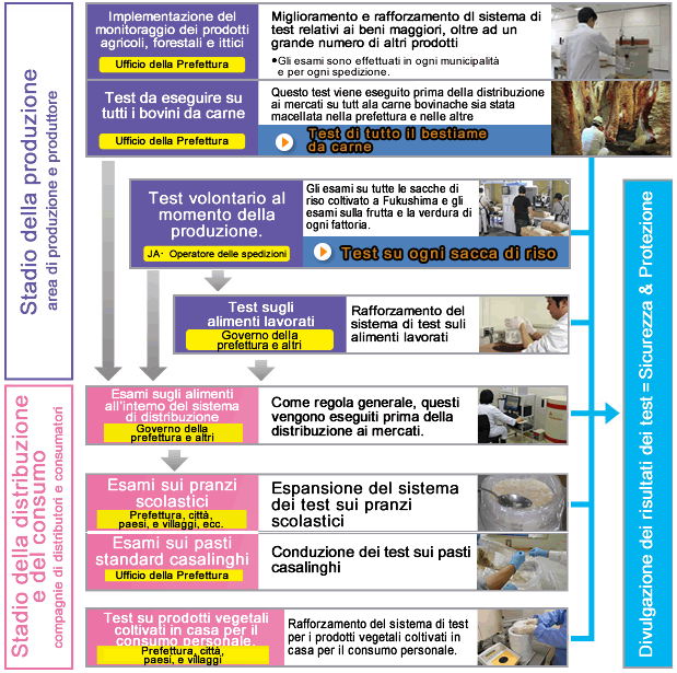 Image: Flow of inspection