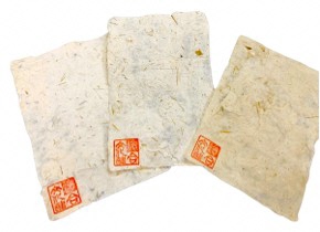 猪苗代町立猪苗代中学校　総合文化部