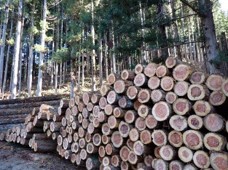 公益社団法人福島県森林・林業・緑化協会