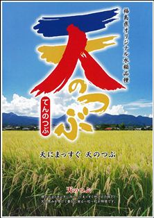 天のつぶ生産者用パンフレット