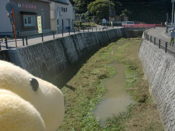 桜川河川清掃