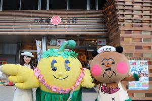 フラキビタン写真