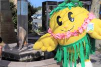 フラキビタン写真