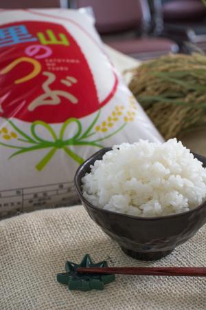 里山のつぶ
