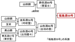 系譜図