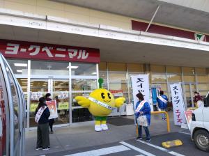 キビタン１