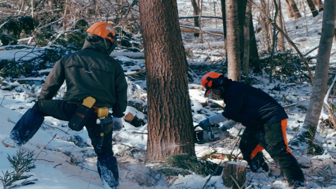 インターンシップ