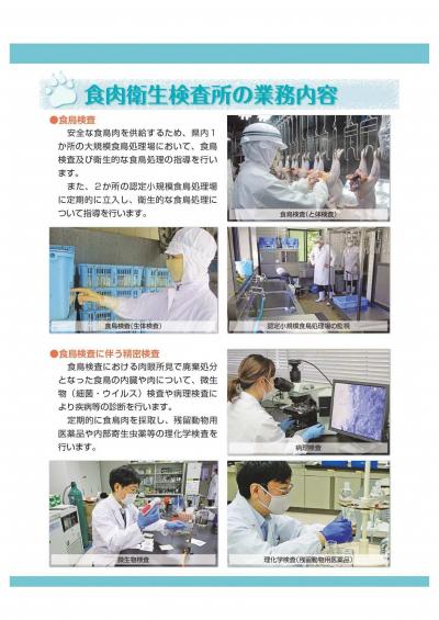 令和７年度獣医師募集パンフレット-4