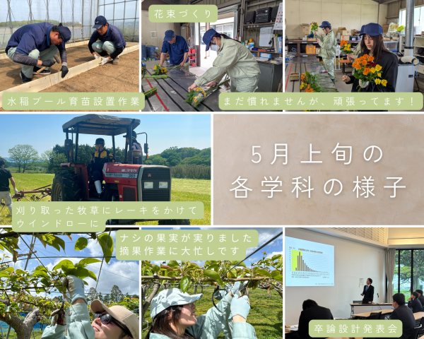 5月上旬の各学科の様子