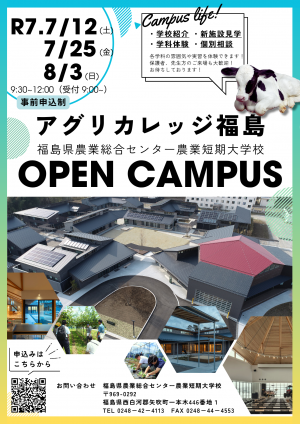 表面