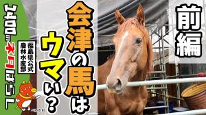 会津は馬刺しがおいしんだよ。知ってた?(前編)