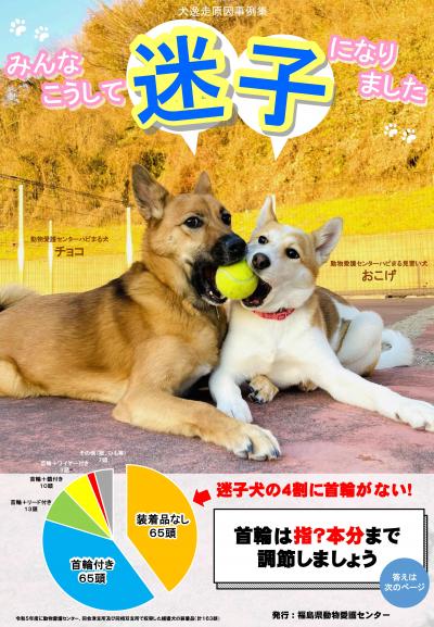 犬逸走原因事例集～みんなこうして迷子になりました～