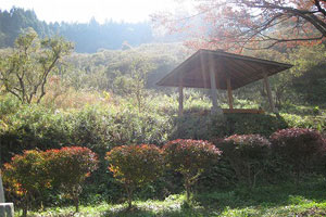 風呂山公園