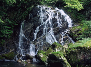江竜田の滝