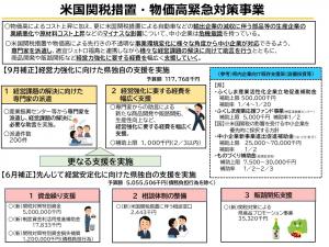 米国関税措置・物価高緊急対策事業