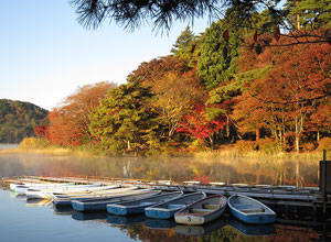 南湖公園