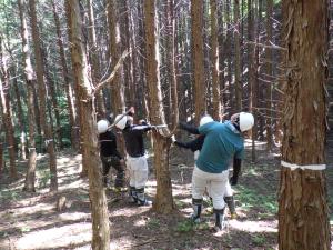 間伐選木実習