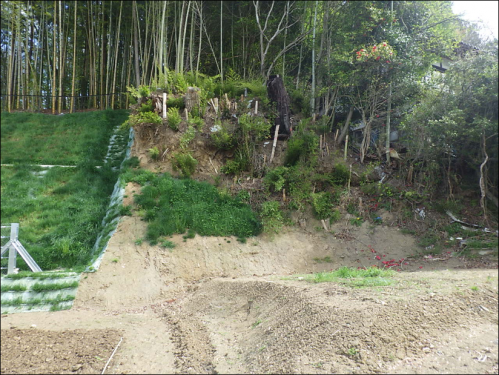 東今田（施工前）