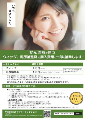 福島県アピアランスケア助成事業について(1)