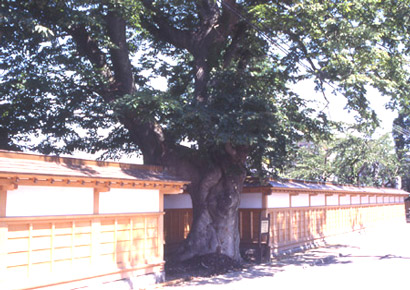 妙法寺