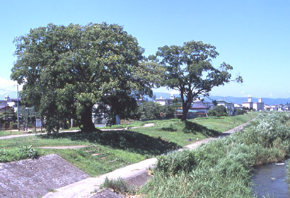 錦町