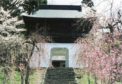 善龍寺の山門