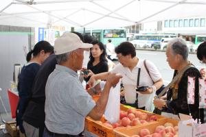 JAPAN市1