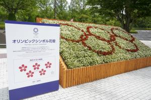 花壇2