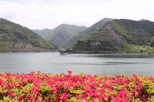 令和7年5月19日現在の様子