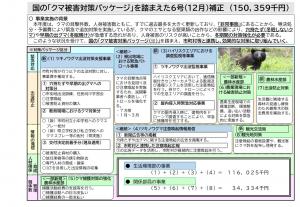 ツキノワグマ被害防止緊急対策事業(6号補正)