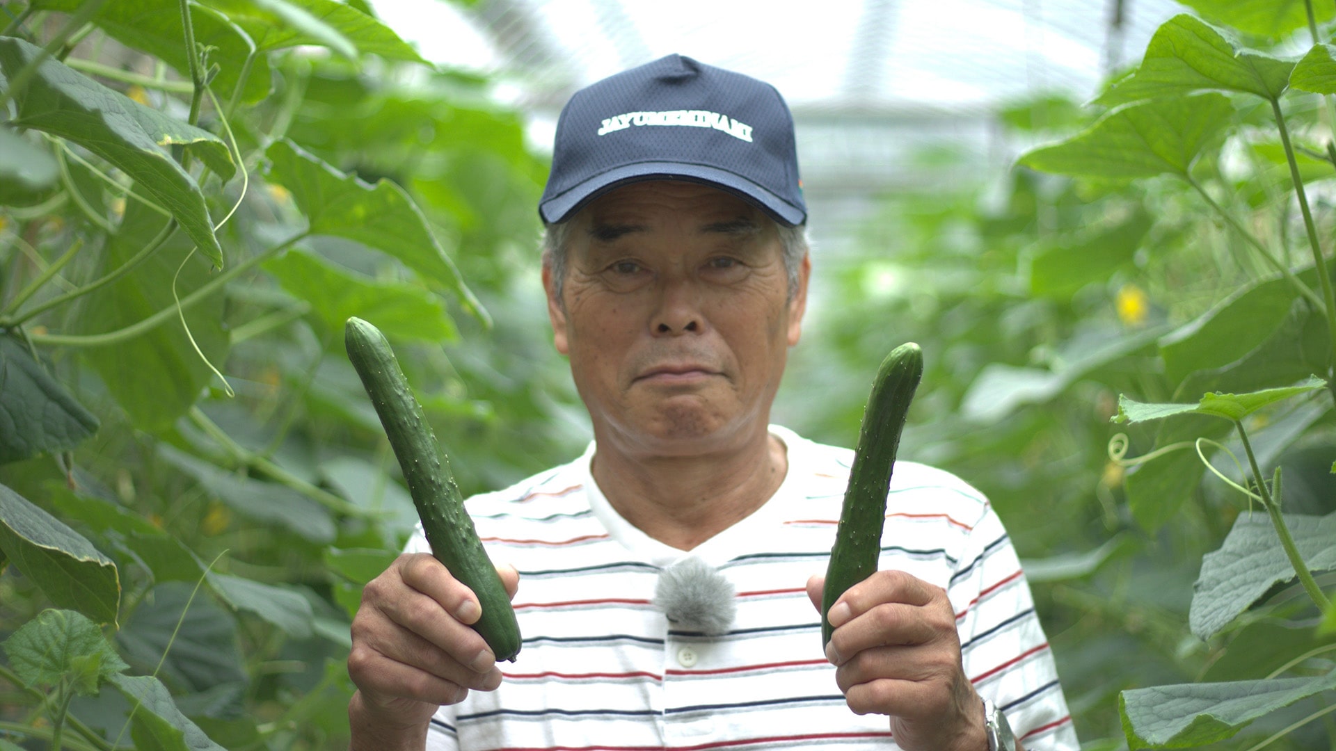 /w4/engeijin/ふくしま産きゅうり