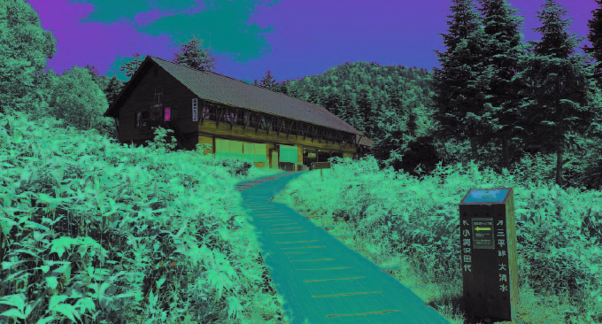 写真
