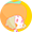 あんぽ柿 (柿)